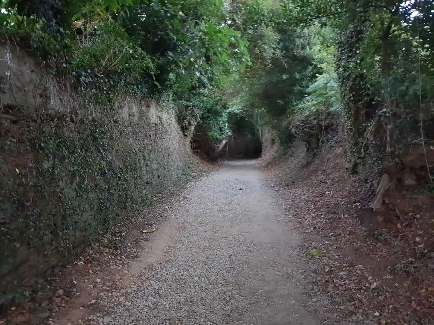 Cesta na Camino de Santiago 2017 — tu vznikll nápad na Denticor