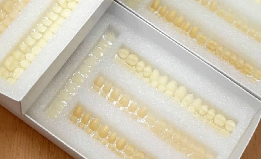 Sada 84 dentálních korunek Denticor